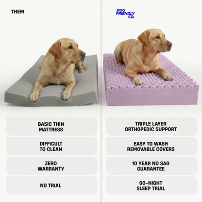 Premium Orthopedic Memory Foam Dog Bed - Green Bouclé