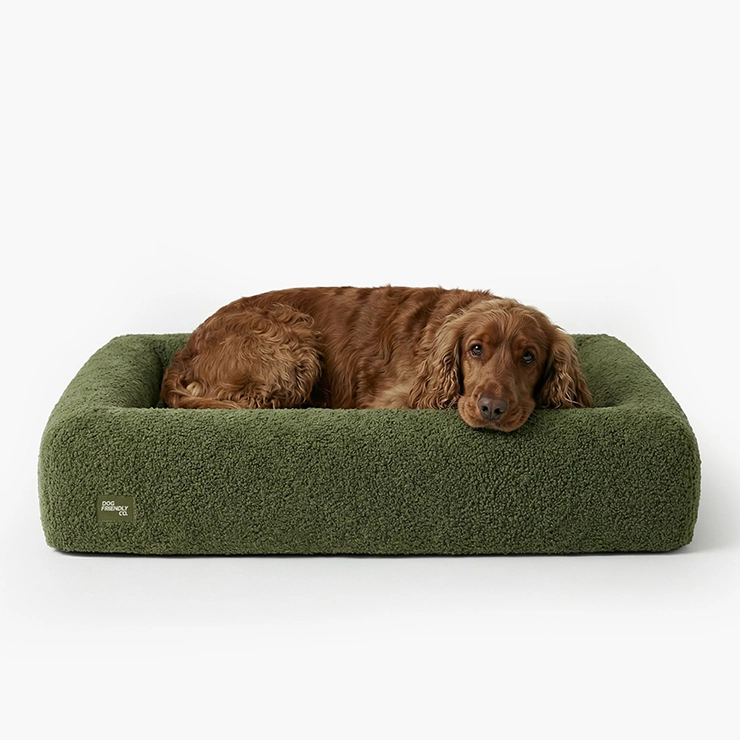 https://www.dogfriendlyco.com/cdn/shop/files/PremiumOrthopedicMemoryFoamDogBed_GreenBoucle_Product_01_a0180b8e-0995-495a-884c-dd3d68ec8f09.webp
