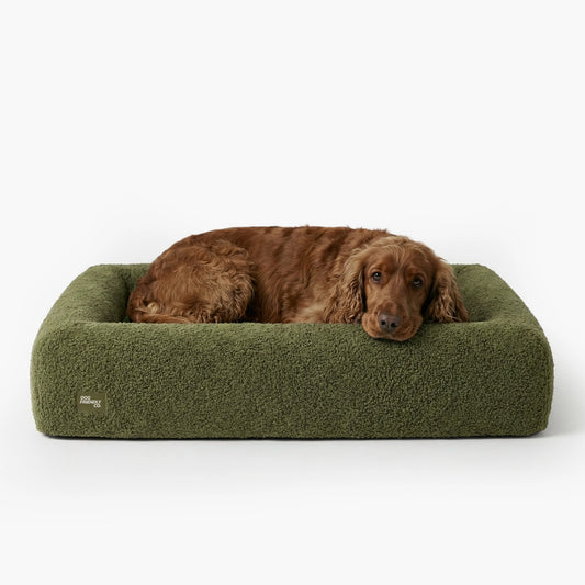 Premium Orthopedic Memory Foam Dog Bed - Green Bouclé