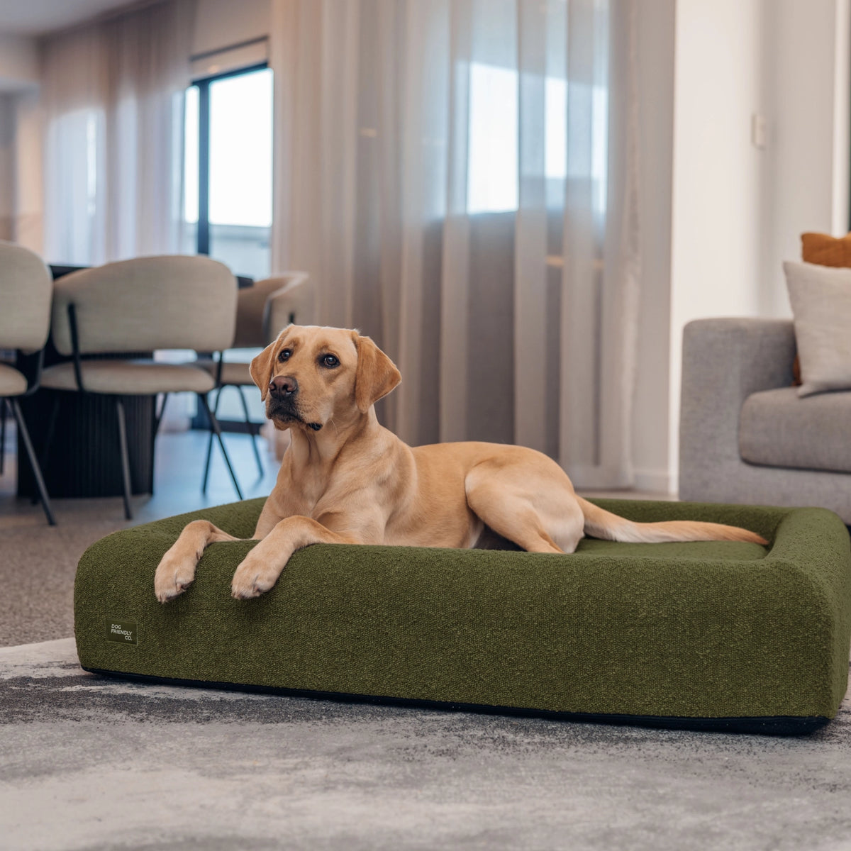 Premium Orthopedic Memory Foam Dog Bed - Green Bouclé