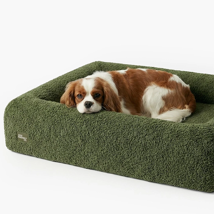 https://www.dogfriendlyco.com/cdn/shop/files/PremiumOrthopedicMemoryFoamDogBed_GreenBoucle_Product_02_5af14fb7-8151-4ab8-be0a-6bcbf1b18b8a.webp