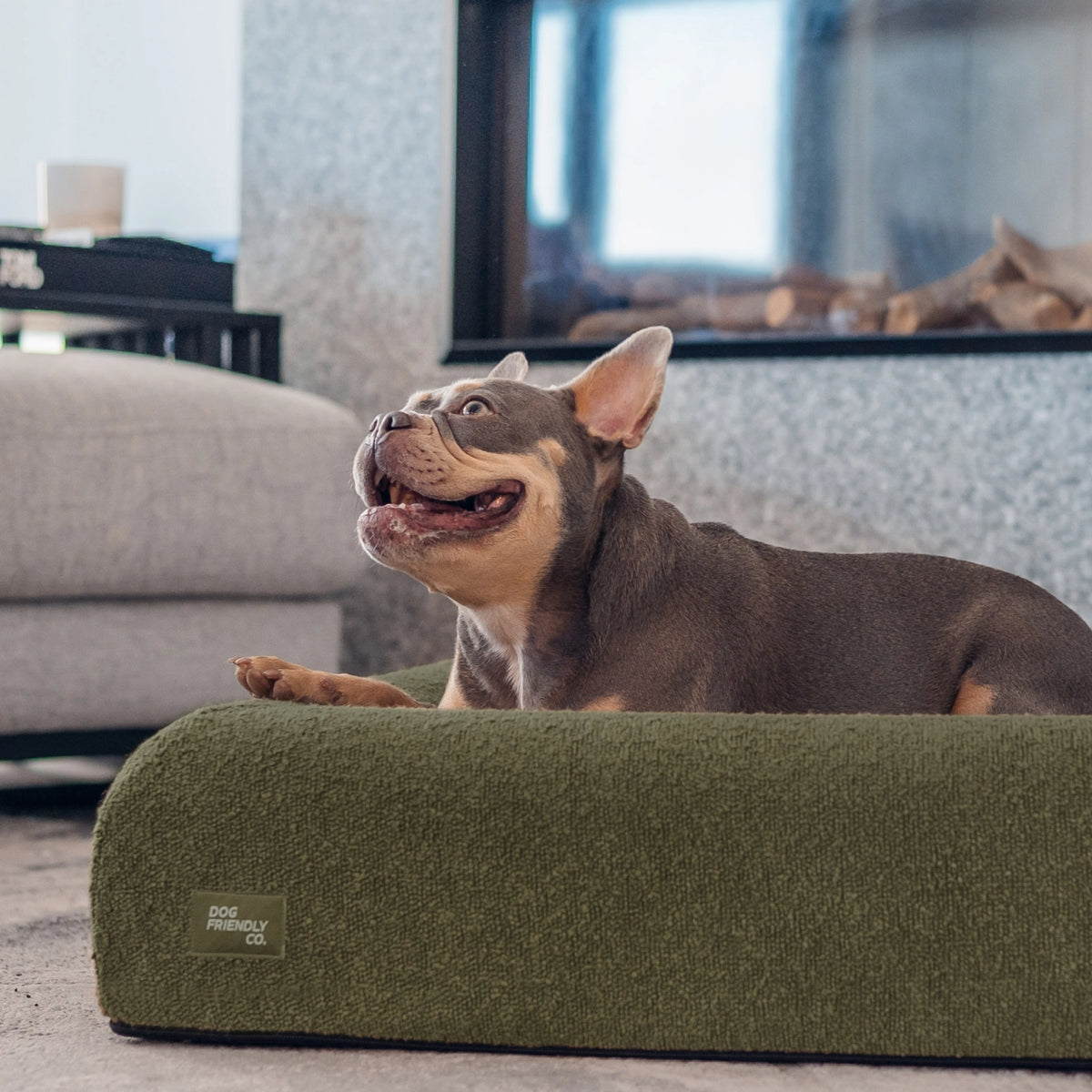 Premium Orthopedic Memory Foam Dog Bed - Green Bouclé