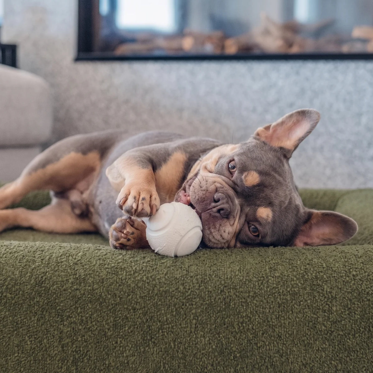 Premium Orthopedic Memory Foam Dog Bed - Green Bouclé