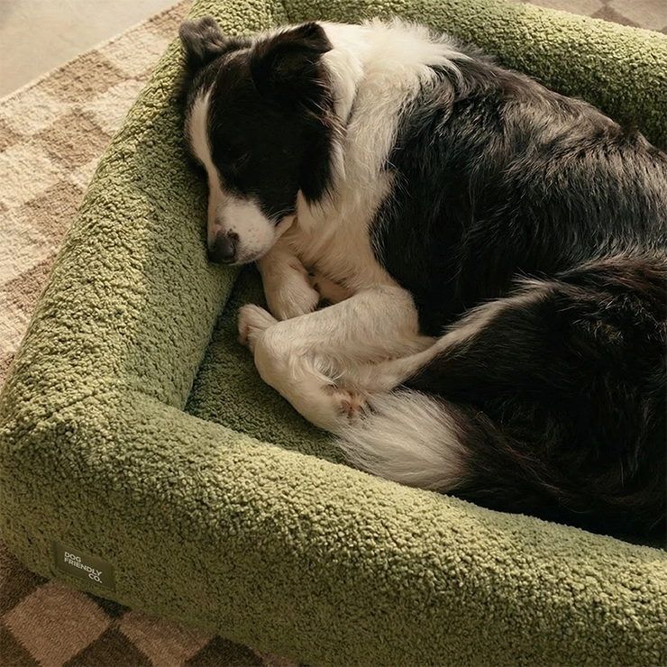 https://www.dogfriendlyco.com/cdn/shop/files/PremiumOrthopedicMemoryFoamDogBed_GreenBoucle_Product_04_62f60666-a5d6-4740-aad8-db364b676bda.webp
