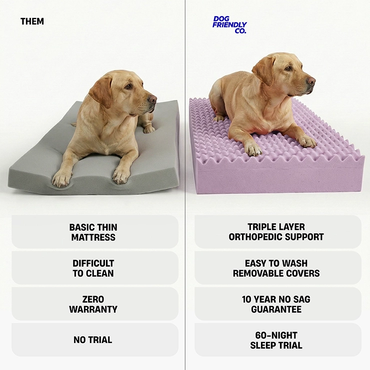 https://www.dogfriendlyco.com/cdn/shop/files/PremiumOrthopedicMemoryFoamDogBed_GreyBoucle_Infographics_02.webp