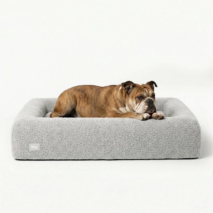 https://www.dogfriendlyco.com/cdn/shop/files/PremiumOrthopedicMemoryFoamDogBed_GreyBoucle_Product_01.webp