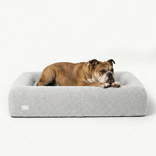 Premium Orthopedic Memory Foam Dog Bed - Grey Bouclé
