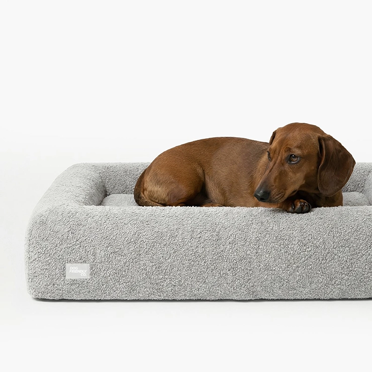 https://www.dogfriendlyco.com/cdn/shop/files/PremiumOrthopedicMemoryFoamDogBed_GreyBoucle_Product_02.webp