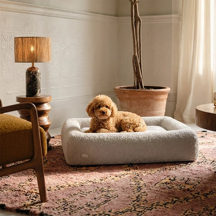 https://www.dogfriendlyco.com/cdn/shop/files/PremiumOrthopedicMemoryFoamDogBed_GreyBoucle_Product_03.webp