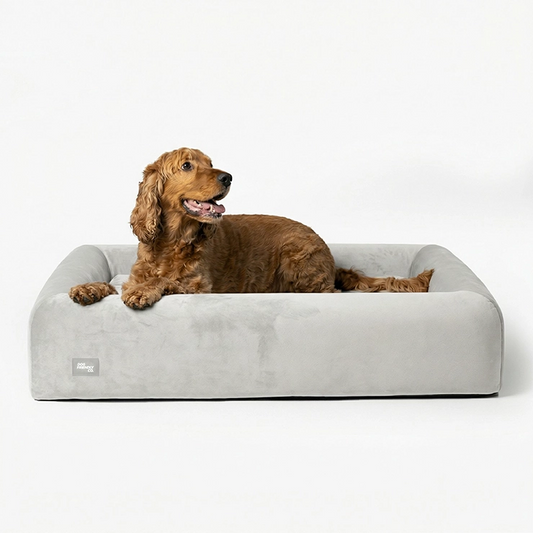 Premium Orthopedic Memory Foam Dog Bed - Grey (Medium)