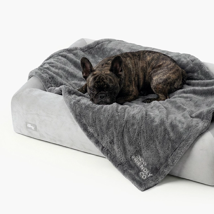 https://www.dogfriendlyco.com/cdn/shop/files/PremiumOrthopedicMemoryFoamDogBed_Grey_Product_02_ae152dbb-4dbf-401b-9a60-ae757f97f687.webp
