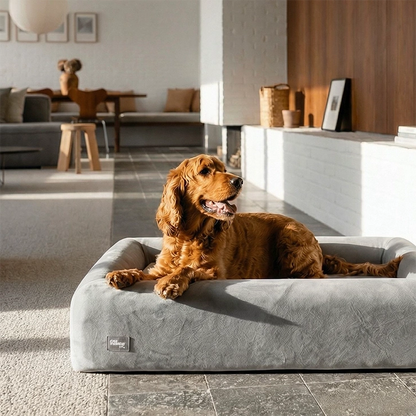 Premium Orthopedic Memory Foam Dog Bed - Grey (Small)