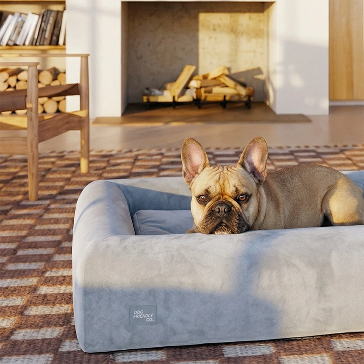 https://www.dogfriendlyco.com/cdn/shop/files/PremiumOrthopedicMemoryFoamDogBed_Grey_Product_04_0eec22e6-b2dc-4d67-b187-c41928ae75d3.webp