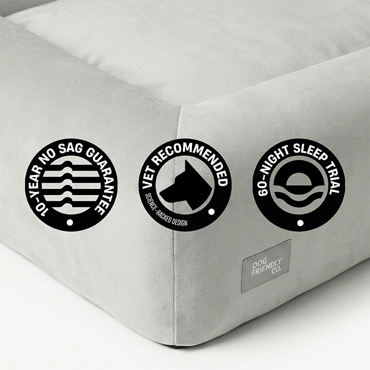 Premium Orthopedic Memory Foam Dog Bed - Grey (Large)