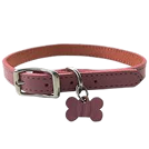 Essentials Collar - Khaki