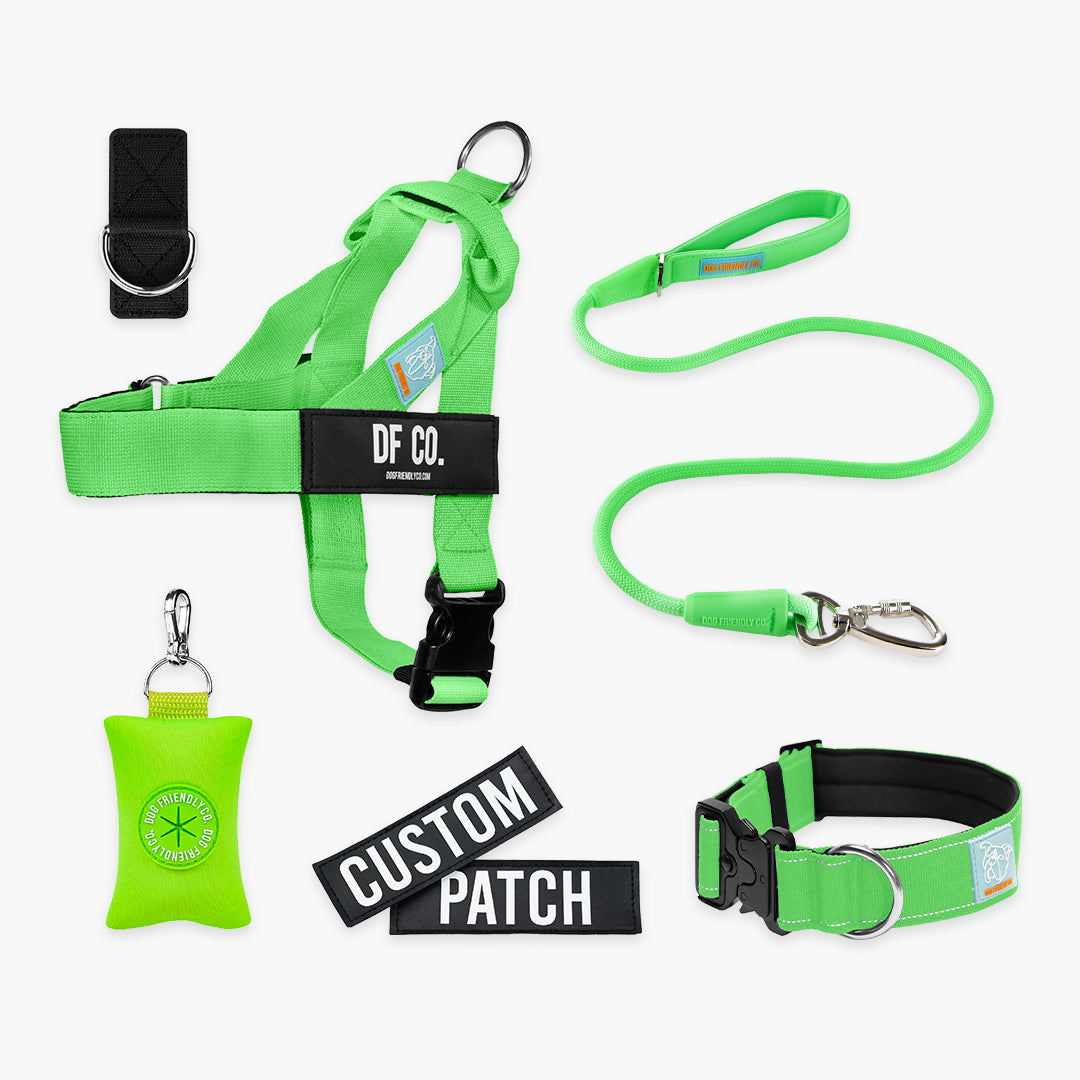 Ultimate No-Pull Bundle – Influencer Exclusive (Black)