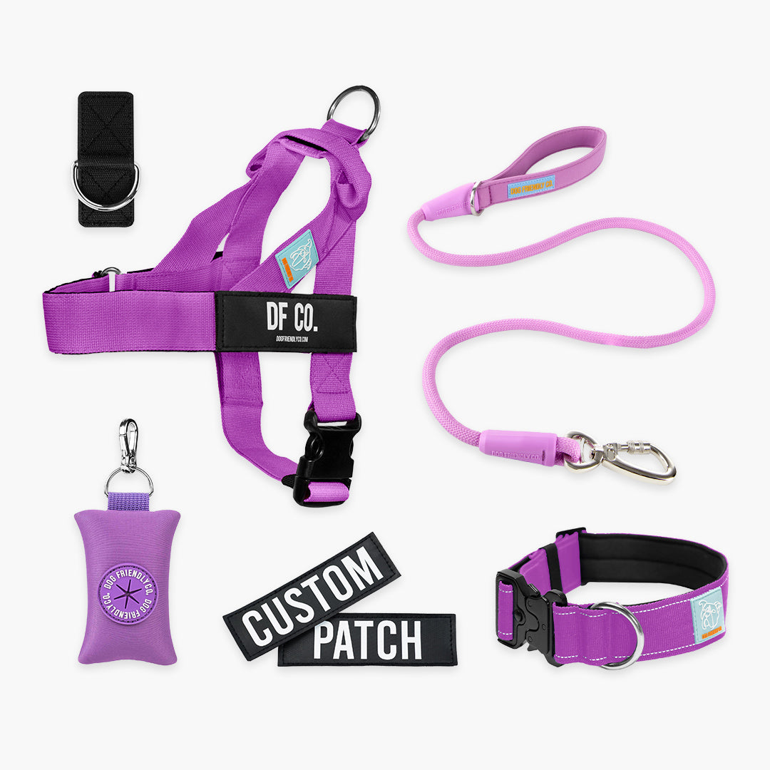 Ultimate No-Pull Bundle – Influencer Exclusive (Black)