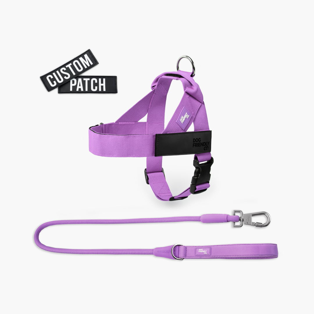 Signature Kit - Purple