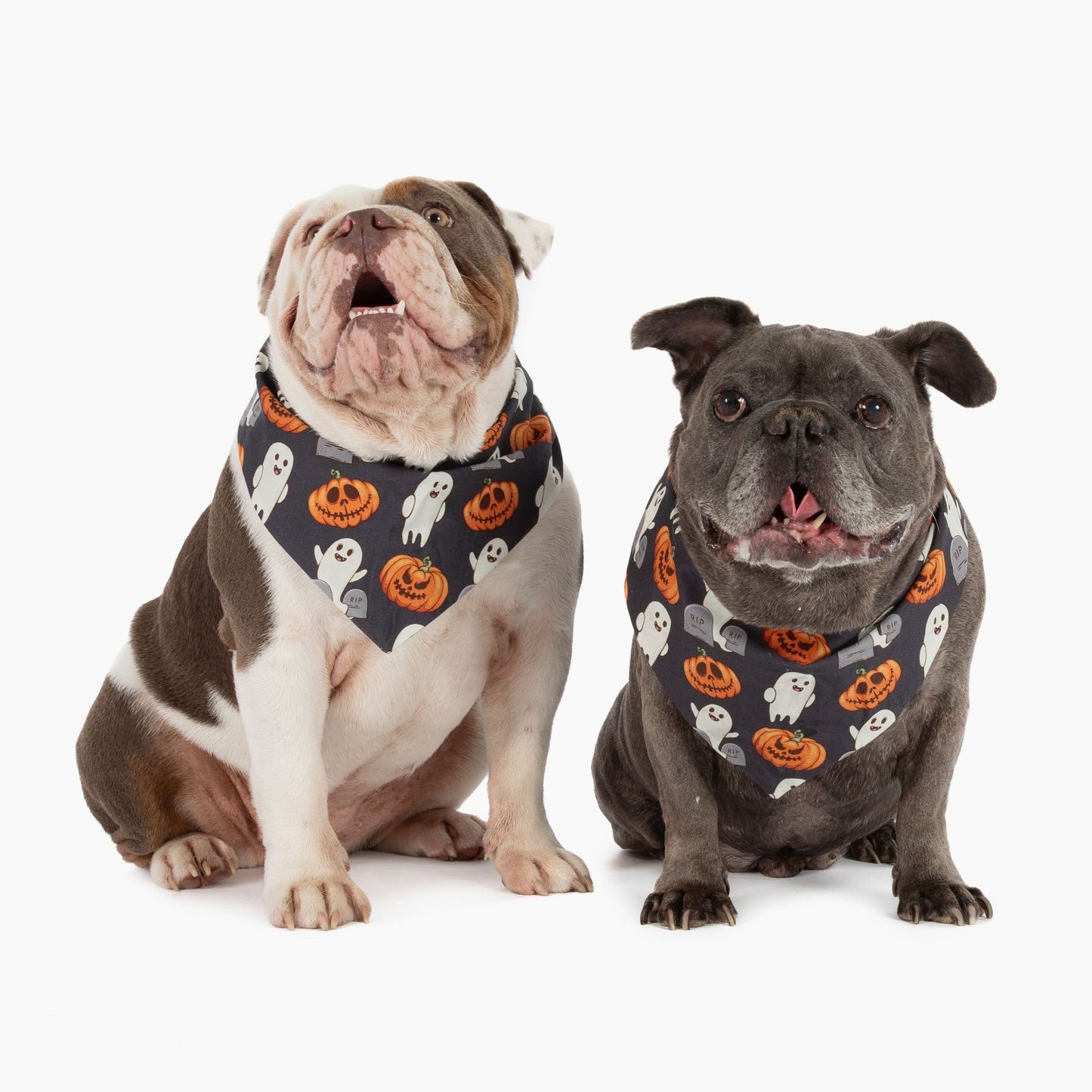 Halloween Dog Bandana