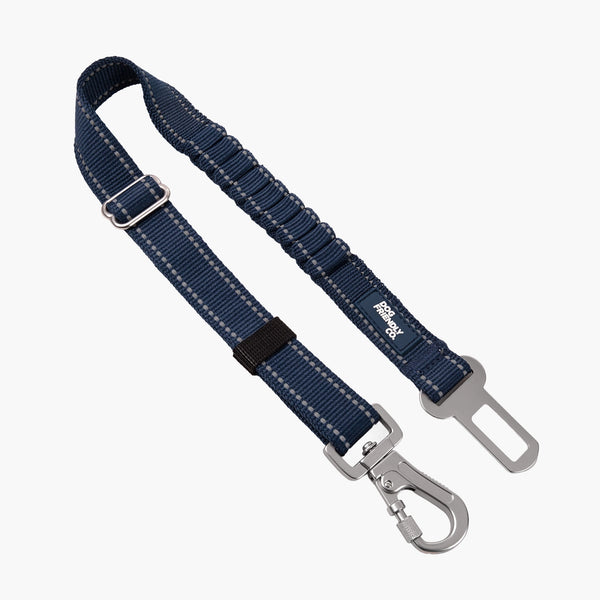 Seat Belt
