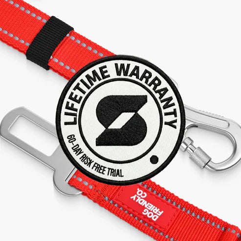 Dog Seat Belt