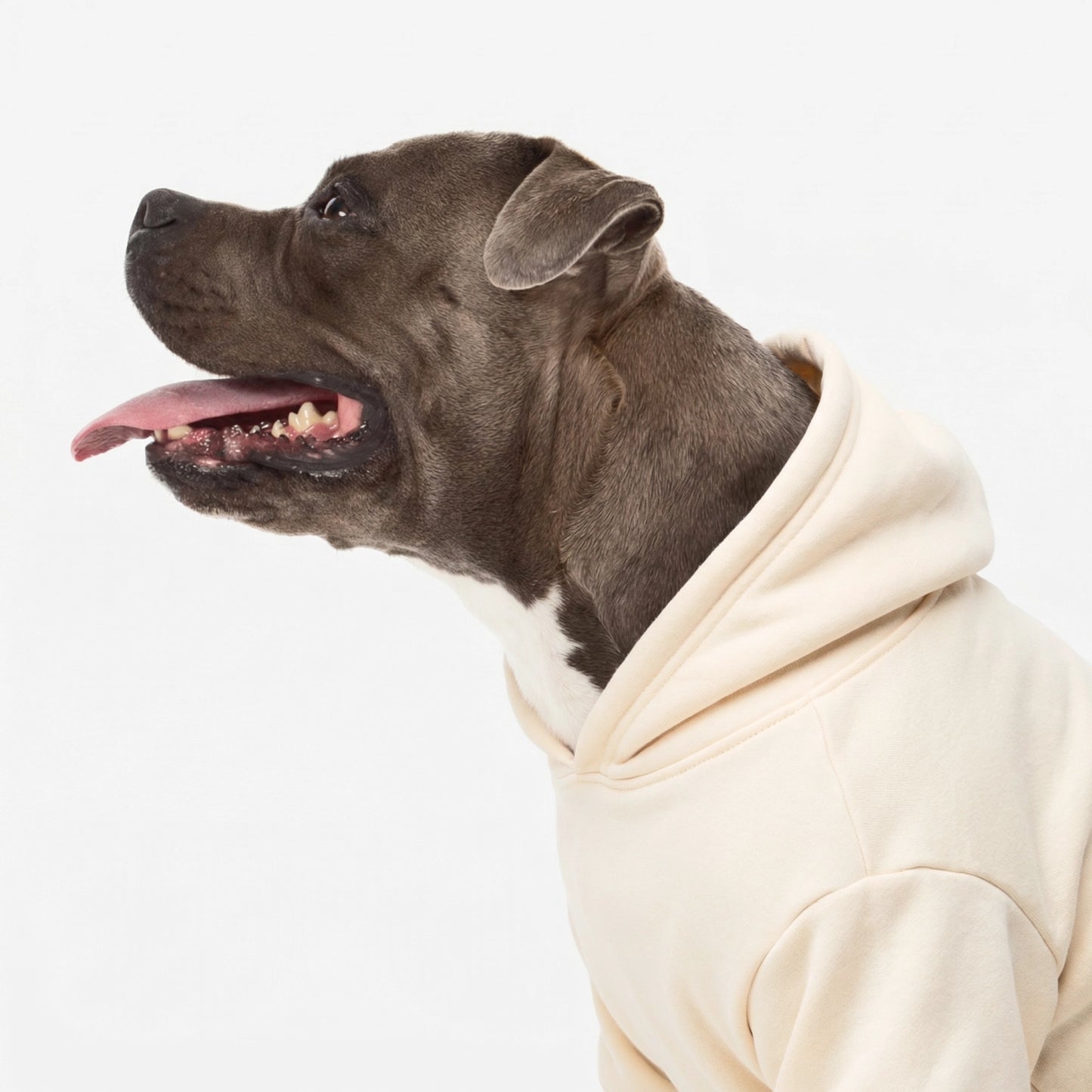 Winter Dog Hoodies - Beige