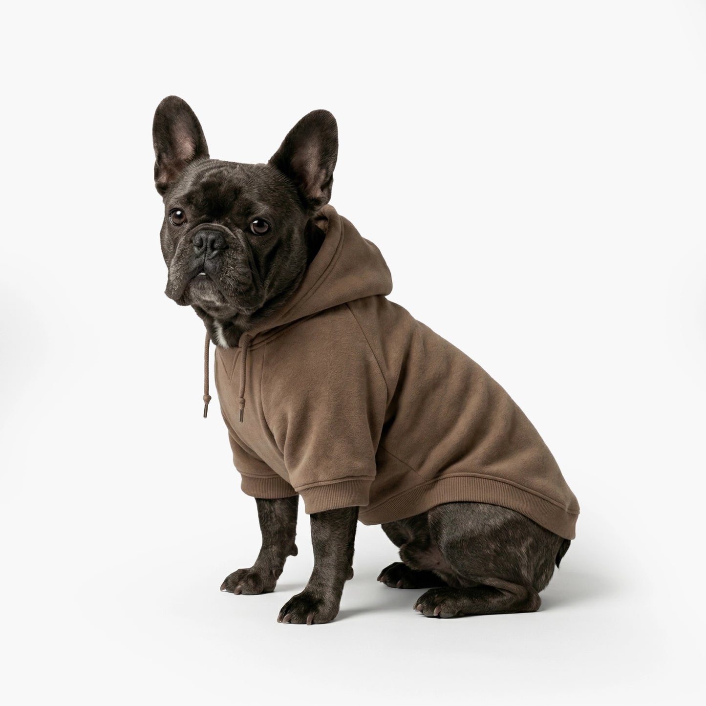 Signature Dog Hoodie - Brown