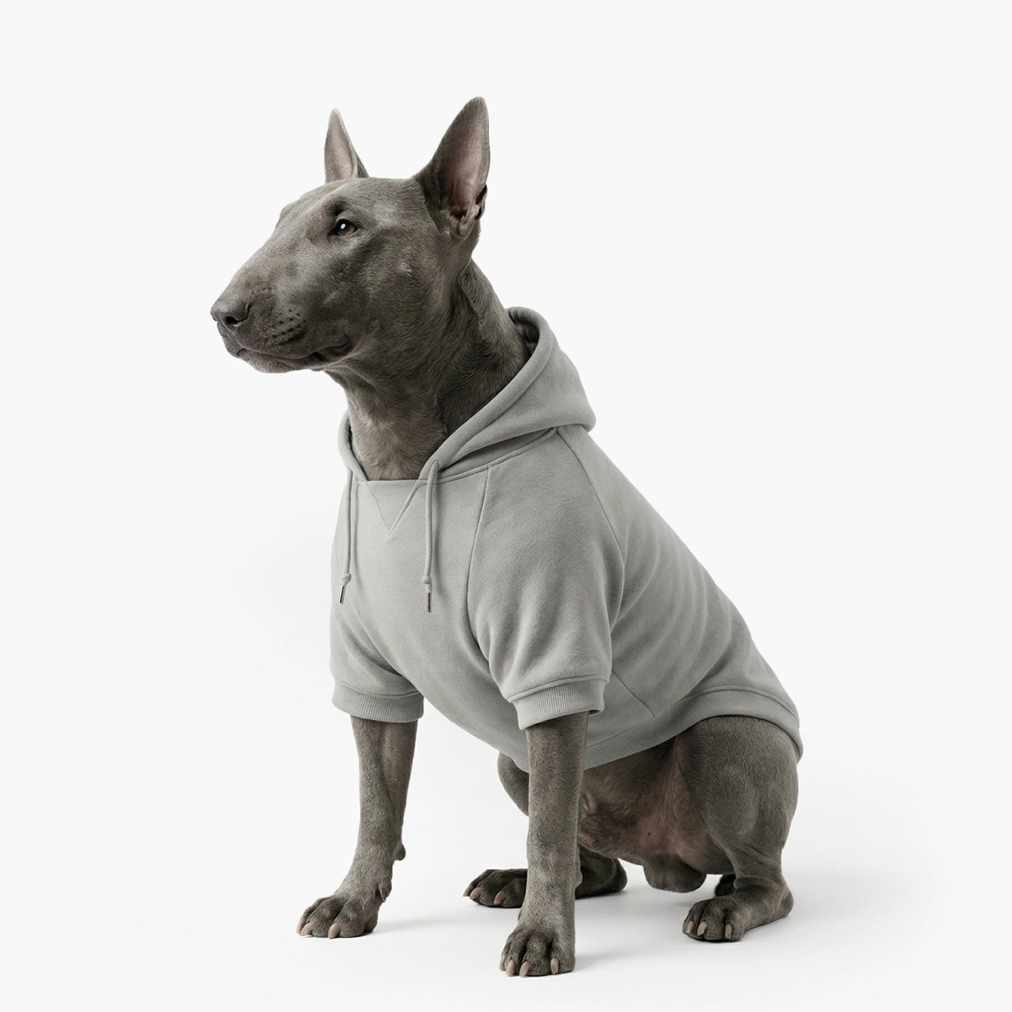Signature Dog Hoodie - Grey