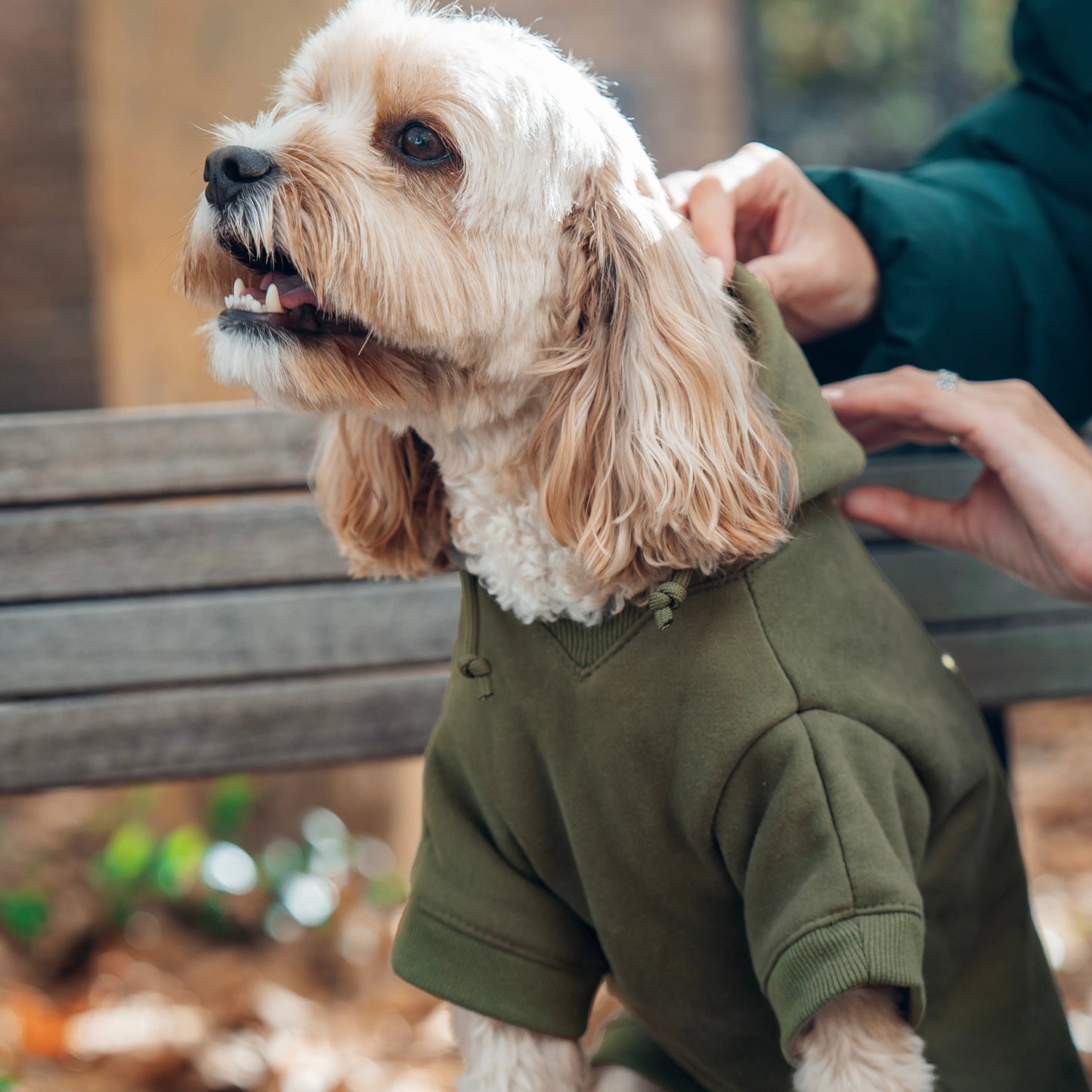 Signature Dog Hoodie - Khaki