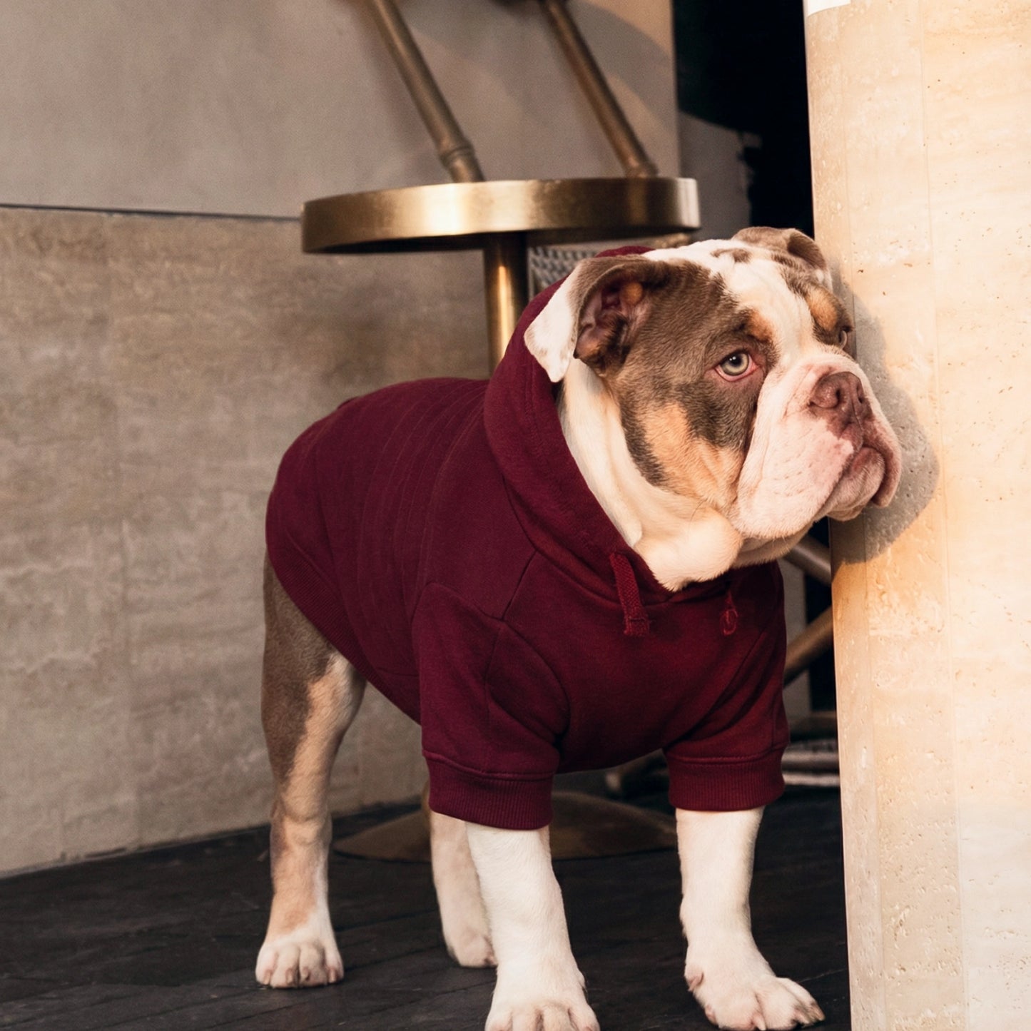 Signature Dog Hoodie - Maroon