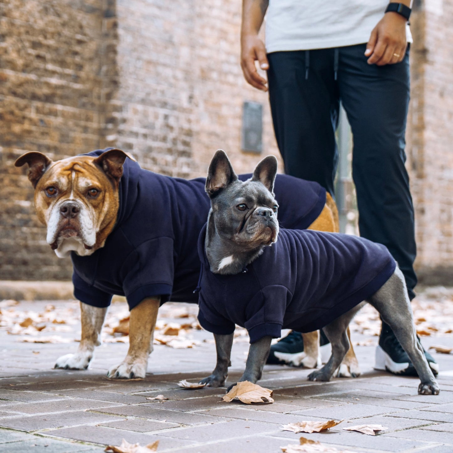 Signature Dog Hoodie - Navy Blue