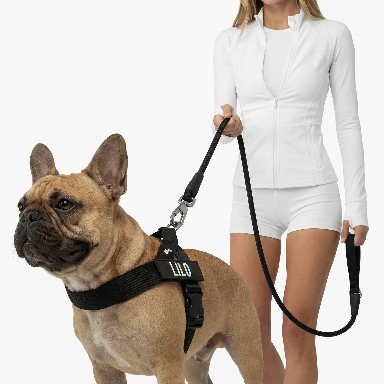 Dog Signature Kit, Harness & Leash Bundle