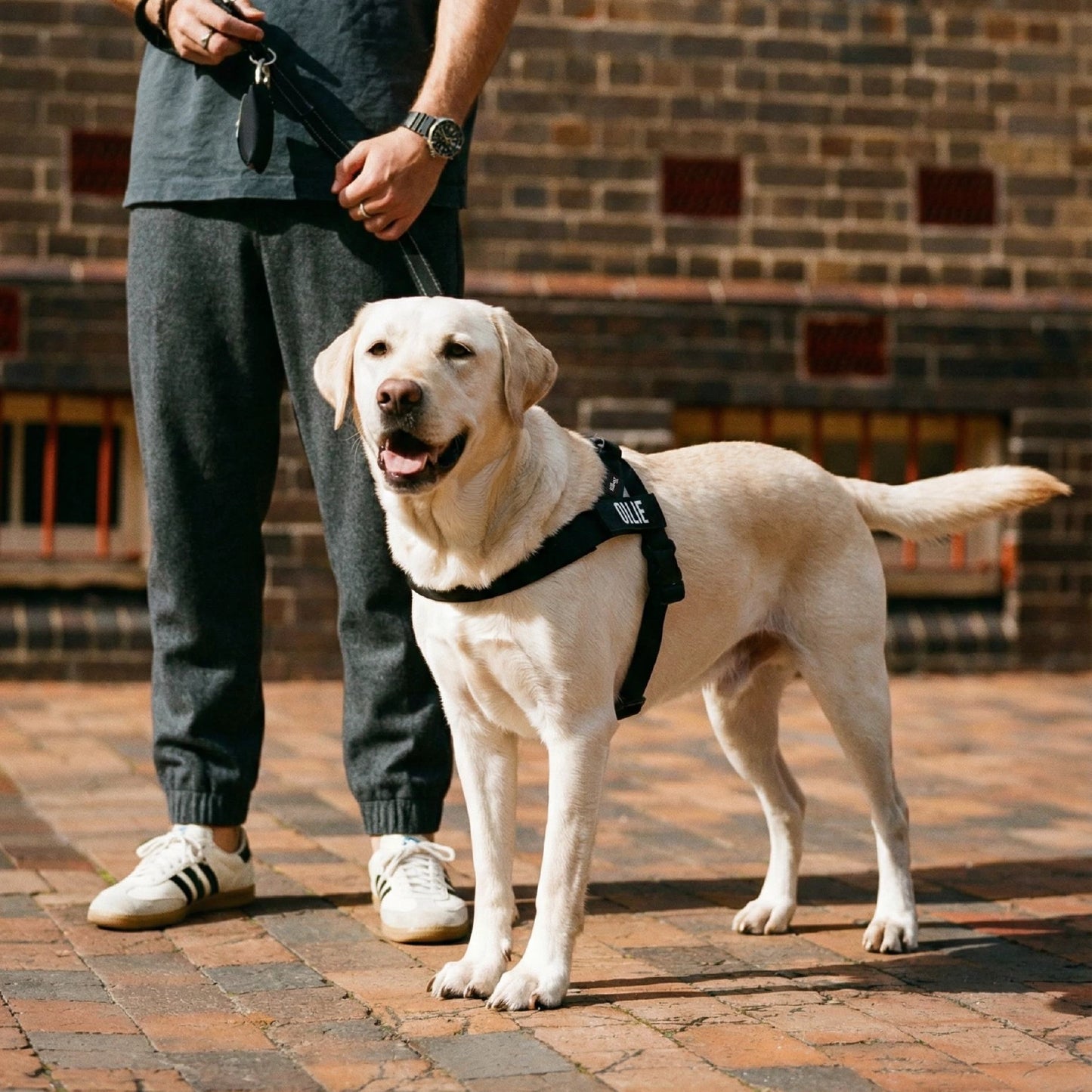 Signature Kit - Black