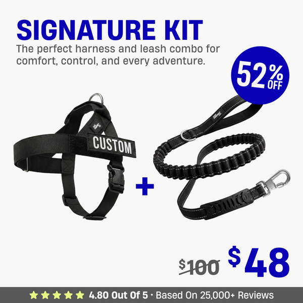 Harnesses