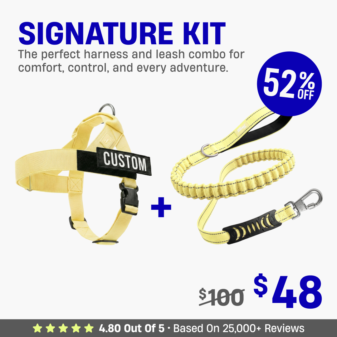 Signature Kit - 52% OFF