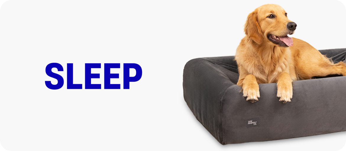 SHOP BY CATEGORY collection