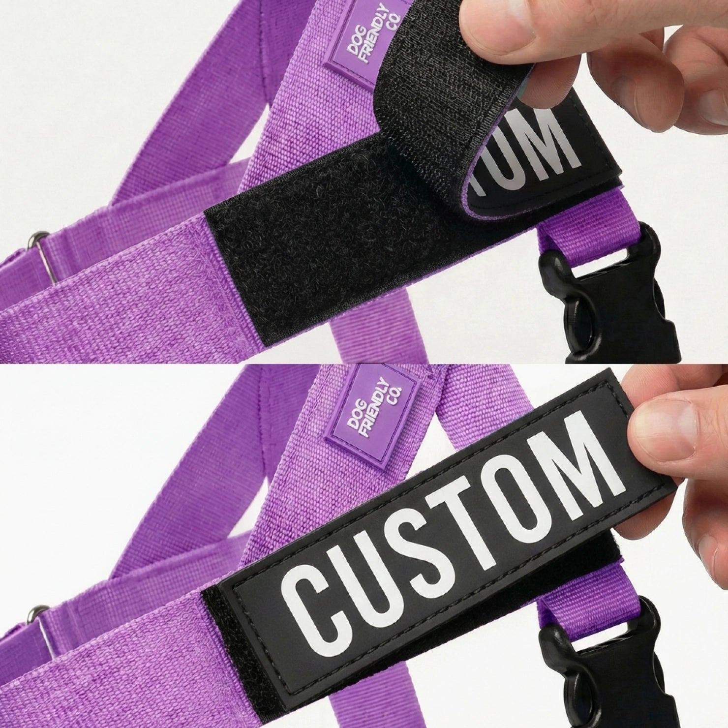 No-Pull Dog Harness, Collar & Leash Set - Purple – Dog Friendly Co.
