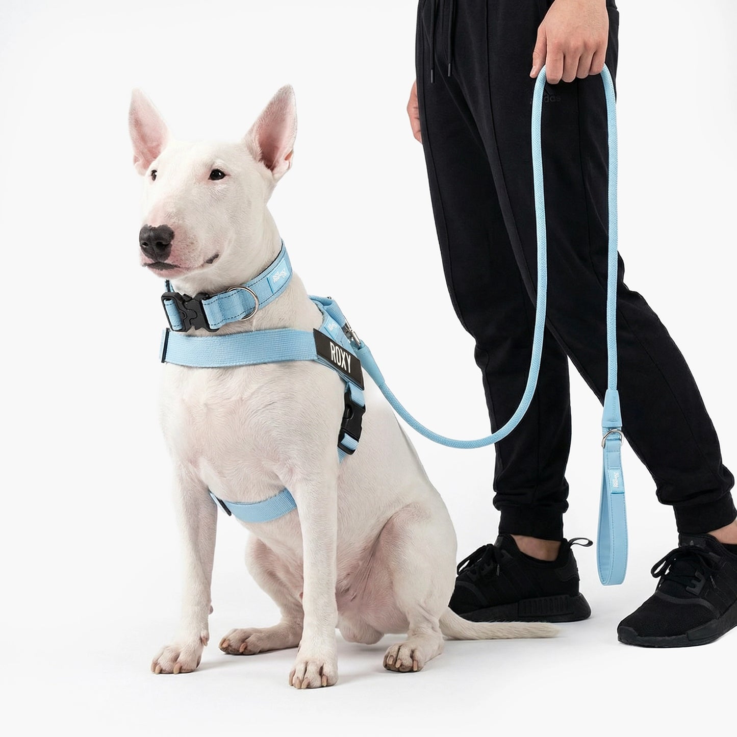 Ultimate No-Pull Bundle - Sky Blue