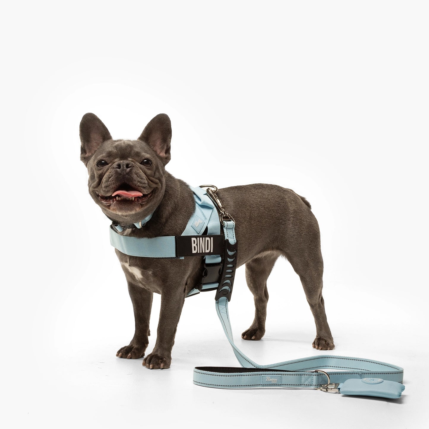 Ultimate No-Pull Bundle - Sky Blue