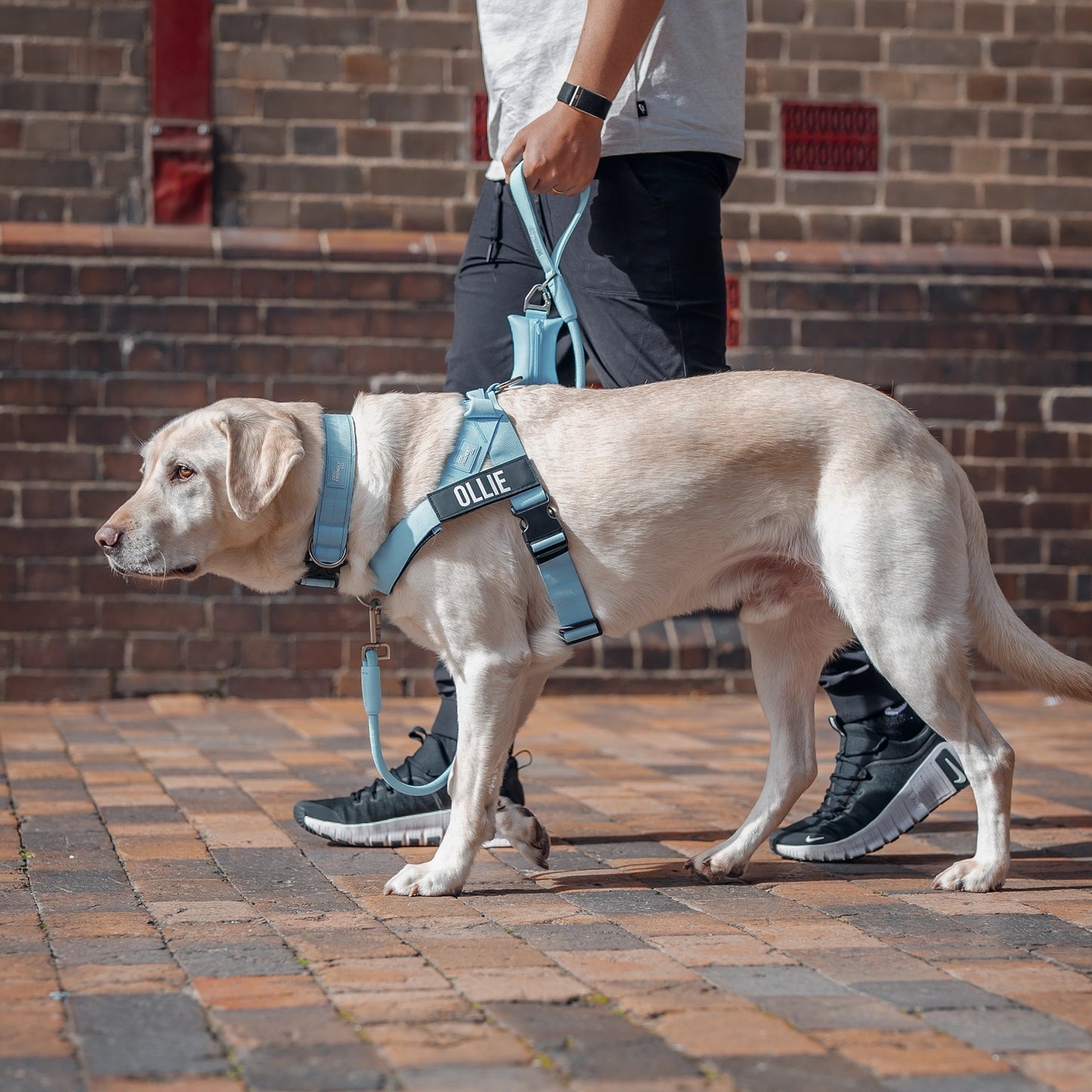 Ultimate No-Pull Bundle - Sky Blue