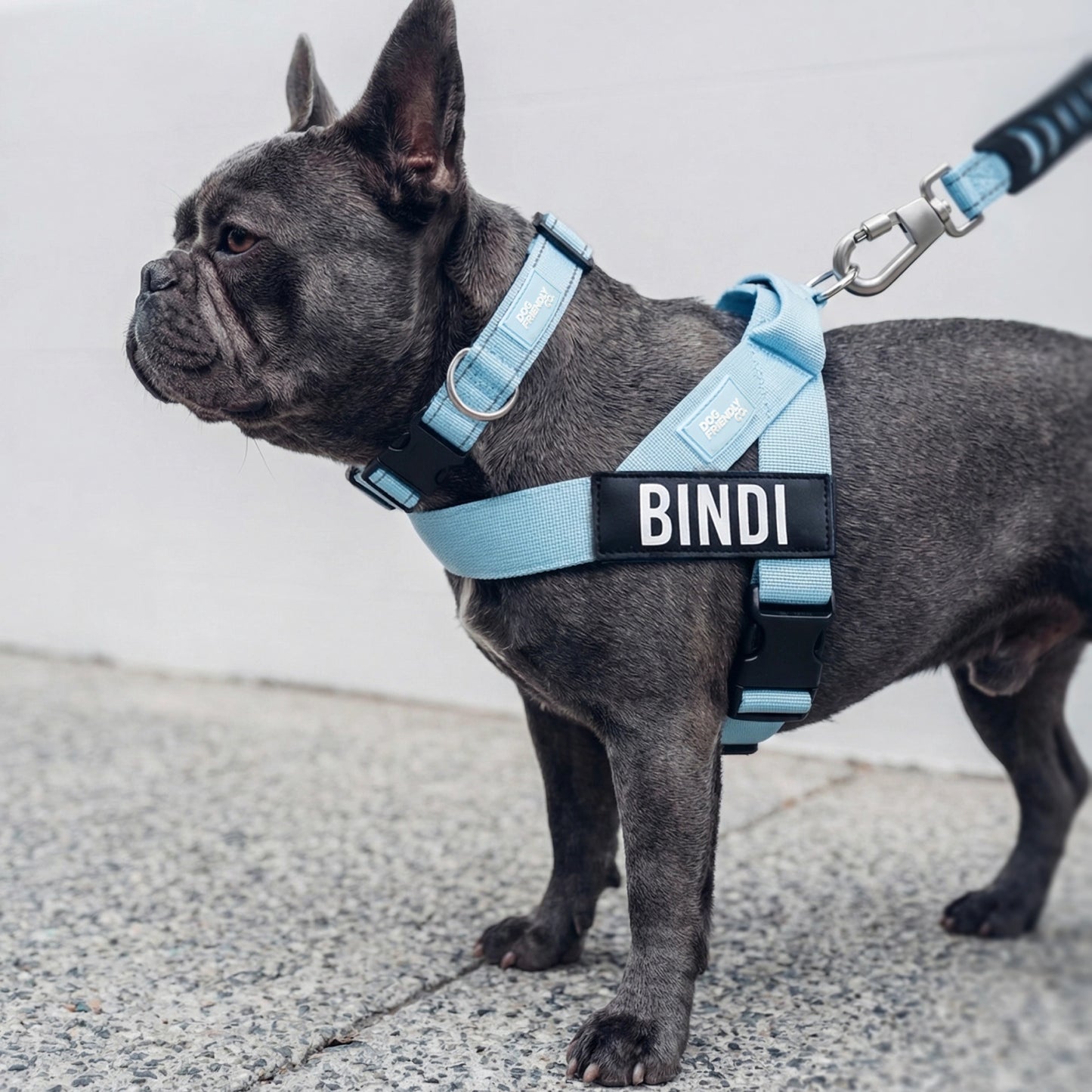 Ultimate No-Pull Bundle - Sky Blue