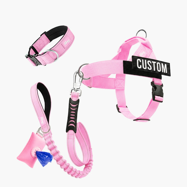 Walk Essentials
