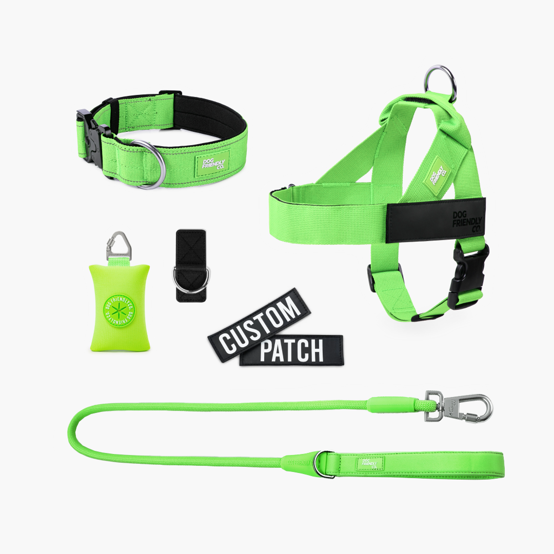 Walk Essentials - Neon Green