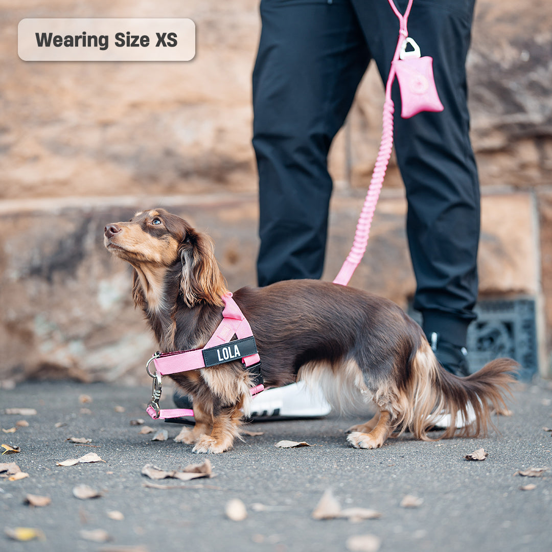 Walk Essentials - Pink