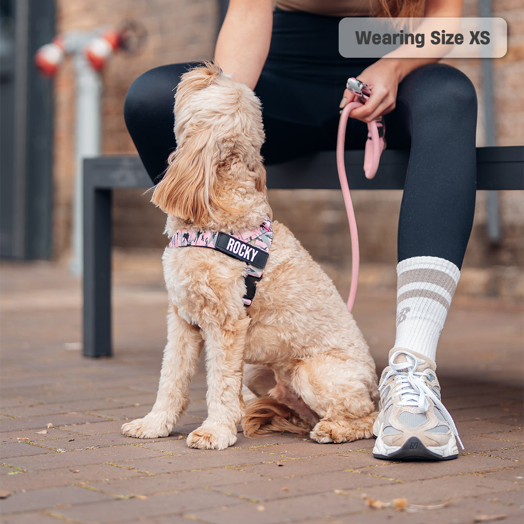 Ultimate No-Pull Bundle - Pink Camo