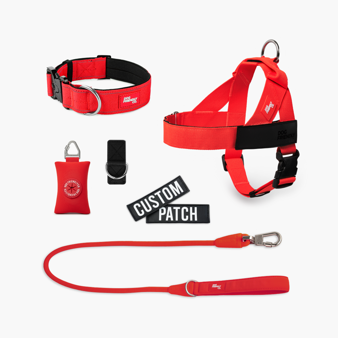 Walk Essentials - Red