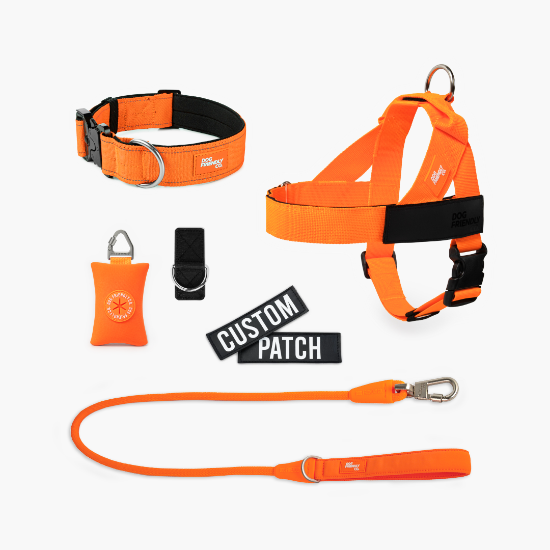 Ultimate No-Pull Bundle - Hi-Vis Orange