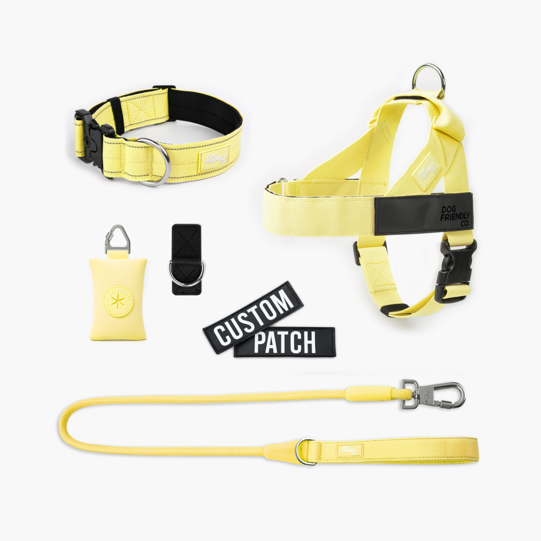 Walk Essentials - Yellow