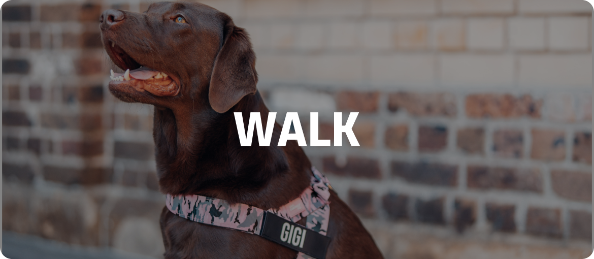 SHOP BY CATEGORY collection