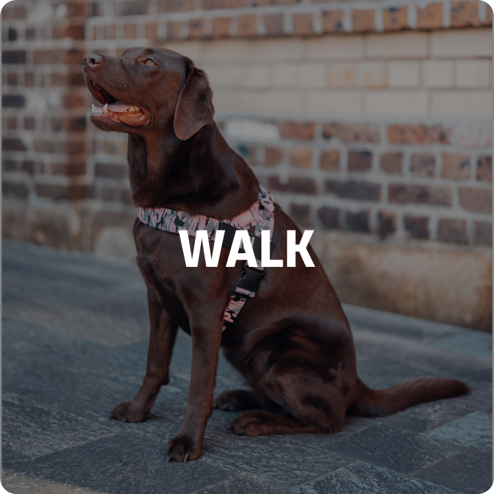 SHOP BY CATEGORY collection